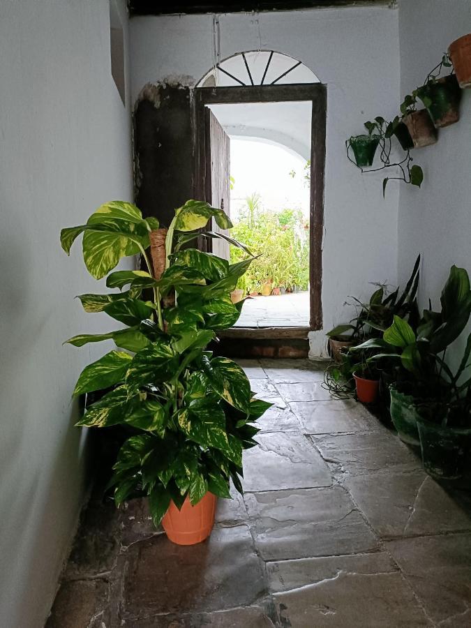 Апартаменти Casa Amalfi, Coqueta Casa Centro Historico De Vejer Вехер-де-ла-Фронтера Екстер'єр фото
