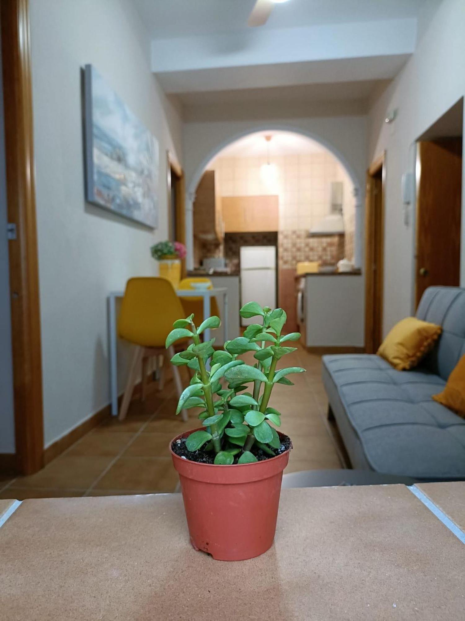Апартаменти Casa Amalfi, Coqueta Casa Centro Historico De Vejer Вехер-де-ла-Фронтера Екстер'єр фото